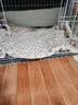 憨憨宠 狗狗垫子 猫垫子宠物棉垫盖垫秋冬季猫窝狗窝泰迪宠物毛毯睡垫窝 睡垫星星黄 110*80cm 实拍图