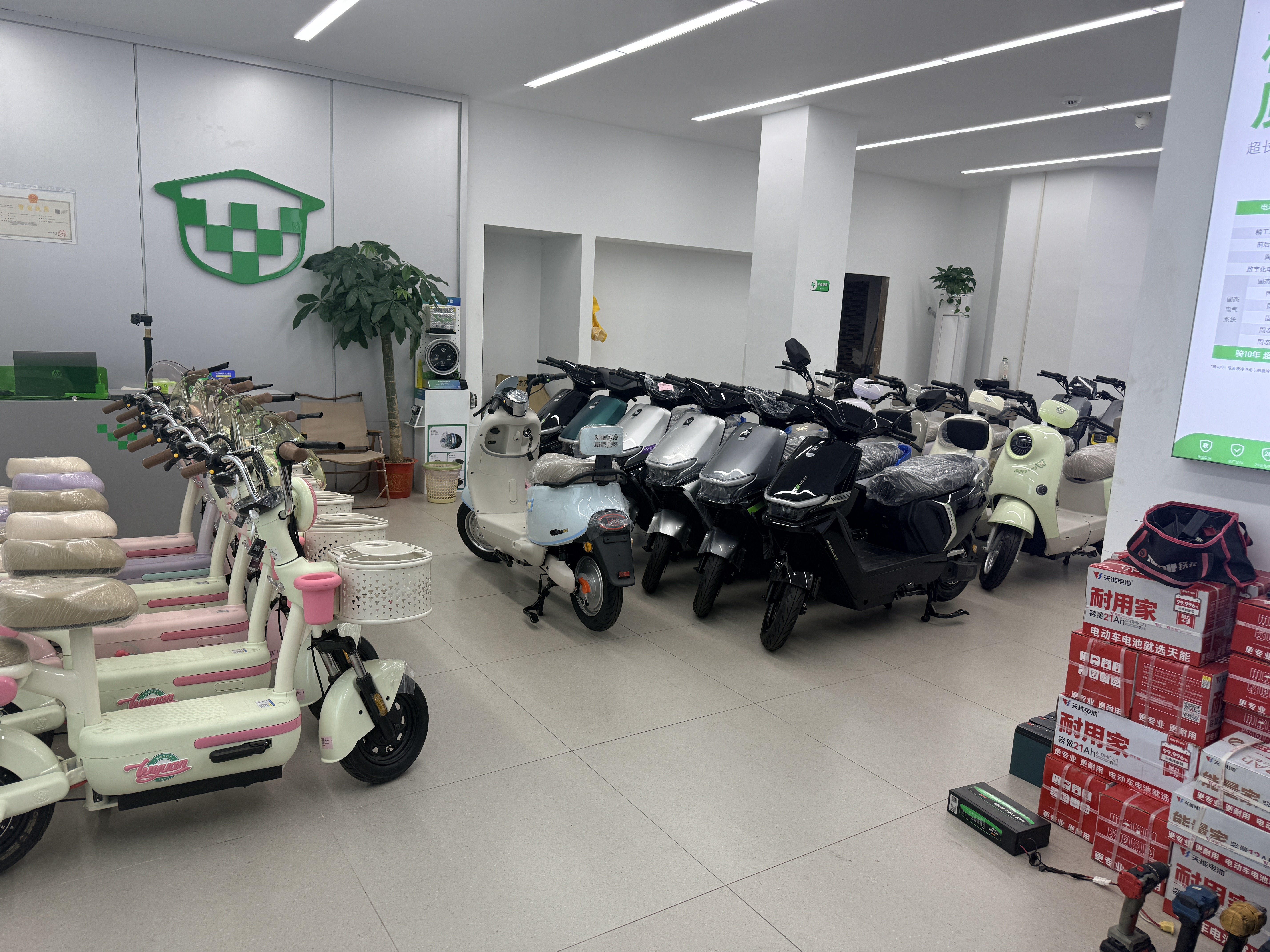 绿源【门店自提】糖豆新国标电动自行车 成人通勤代步长续航电动车 到门店选颜色 实拍图