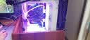 华硕（ASUS）ROG海景房5060全家桶14代酷睿i7台式电脑DIY组装机PBA独显主机直播设计游戏电竞企业大额补贴整机 【机皇】酷睿i7版丨4050丨32G+1.5T 华硕单主机【赠六年质保】 实拍图