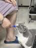 LEGENDSANDY蓝氏全价主食猫条肉-FUN肉满条湿粮猫零食成猫幼猫鲜肉猫湿粮罐头 10盒（16g*120支）混合口味 实拍图
