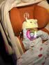 怡戈（Ekobebe）启航号新生婴儿0-15个月提篮式安全座椅汽车用便携车载底座奶酪棕 实拍图