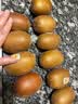 佳沛（zespri）金奇异果25粒原箱特大果134-146g猕猴桃中秋节礼品送水果礼盒 实拍图