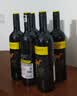 黄尾袋鼠（Yellow Tail）世界系列 西拉 半干型红葡萄酒 750ml*6瓶 智利进口 中秋礼品 实拍图