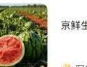 京鲜生 无籽麒麟西瓜 1粒装 净重5-7斤 生鲜水果 实拍图