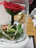 RoseBox生日礼物永生花小王子玫瑰花结婚纪念日新婚送女朋友新娘高级实用 实拍图