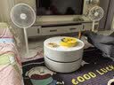 美的（Midea）风扇电风扇落地扇降温伴侣空调扇 小风扇落地式风扇空气循环风扇 桌面风扇台式立式台扇2026年新款 【简易旋钮】轻音省电款 实拍图