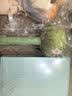 爱奢尔重阳节老人生日礼物实用女士友送老婆已婚30-40岁高级档伴手礼品 实拍图