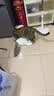 普安特宠物猫咪狗狗眼药水洗泪痕垢分泌物含叶黄素金银花洁眼液60ml 实拍图