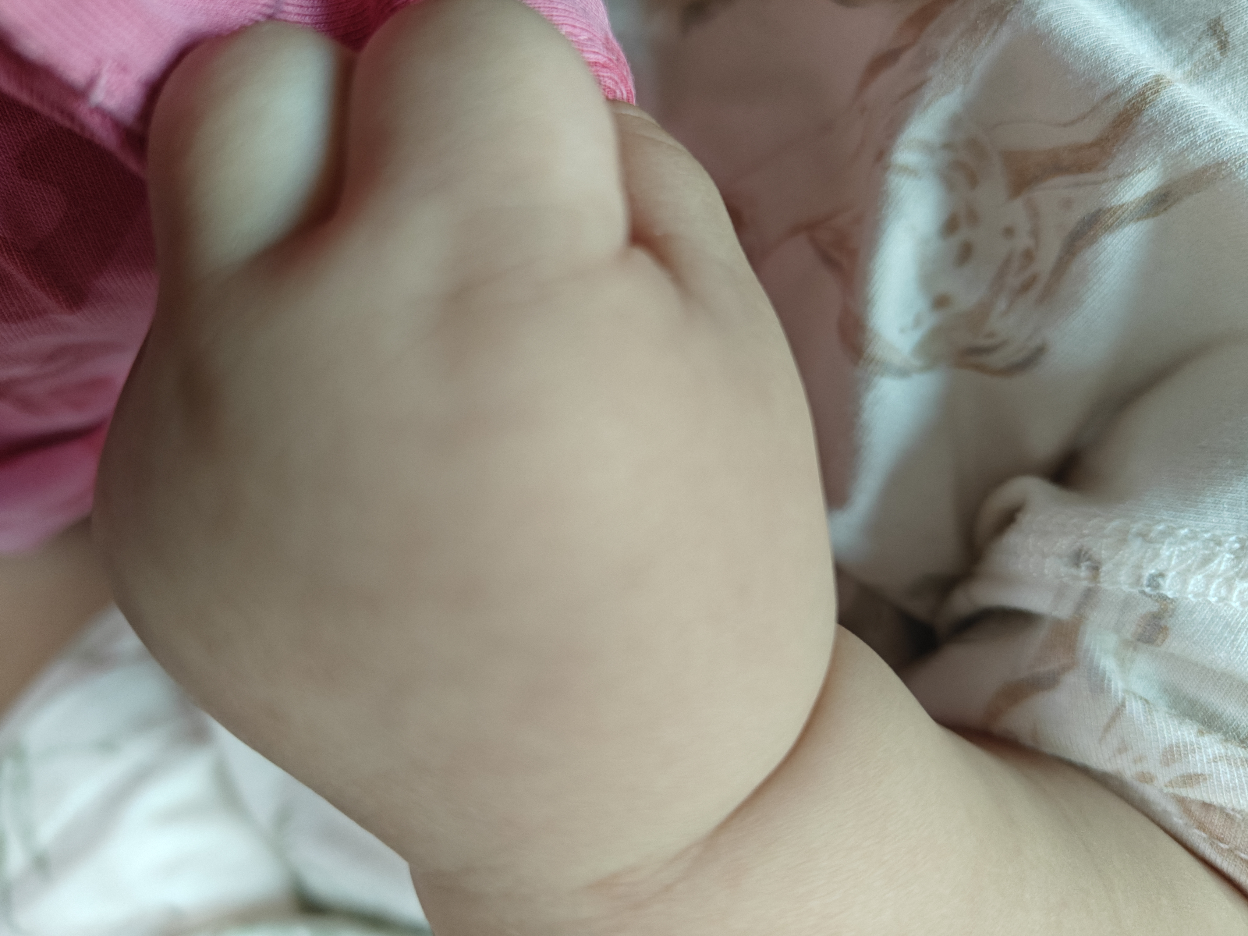 嘉宝（GERBER）高铁米粉250g+禾泱泱婴幼儿细面180g+伊利金领冠孕婴童水1L 实拍图