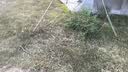 格术户外折叠椅 露营椅子 高背月亮椅便携折叠凳子躺椅野餐钓鱼椅黑 实拍图