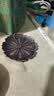 普云铜香插盘香架小葫芦线香九孔线香座香炉香托古铜色 实拍图