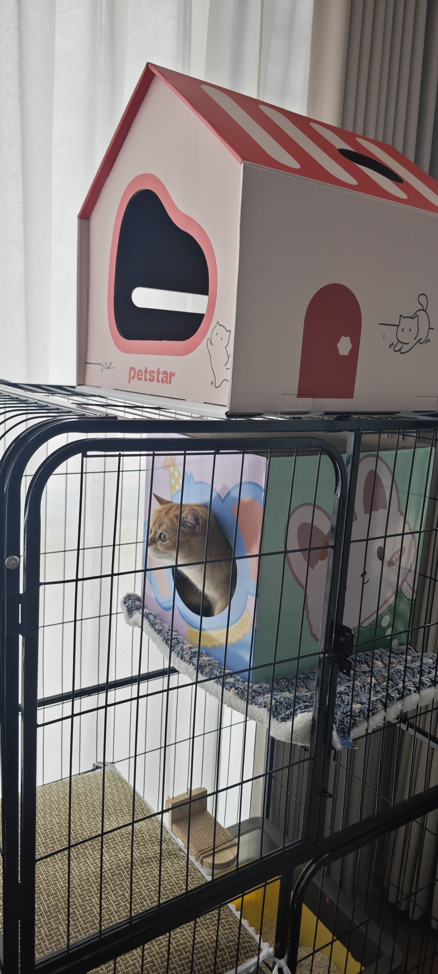 PETSTAR【红顶童趣猫屋】猫抓板房 耐磨不掉屑磨爪板玩睡一体猫窝猫别墅 实拍图