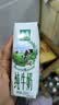 伊利【新鲜日期】金典纯牛奶早餐奶250ml*16盒3.6g 中秋礼品礼盒装 实拍图