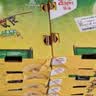 佳沛（zespri）金奇异果25-27粒原箱特大果124-146g猕猴桃中秋节礼品送水果礼盒 实拍图