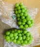 【中秋礼盒】阳光玫瑰青提1.5kg(单果8g起) 实拍图