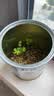 Touch Fish 罐装小盆栽桌面种植易拉罐头植物小学生科学实验礼物奖品 轻度社恐（含羞草） 实拍图