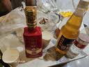 青岛啤酒（TsingTao）爆款组合500ml*12听 白啤4听+福禧4听+皮尔森4听 中秋礼品 实拍图