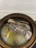杨博士皖南散养溪水河鸭 净重2斤 老鸭子麻鸭土鸭鸭肉生鲜源头直发 实拍图