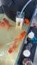 森森 小鲤鱼缸过滤器净水循环三合一内置水族箱过滤系统XQP-500F 6W 实拍图