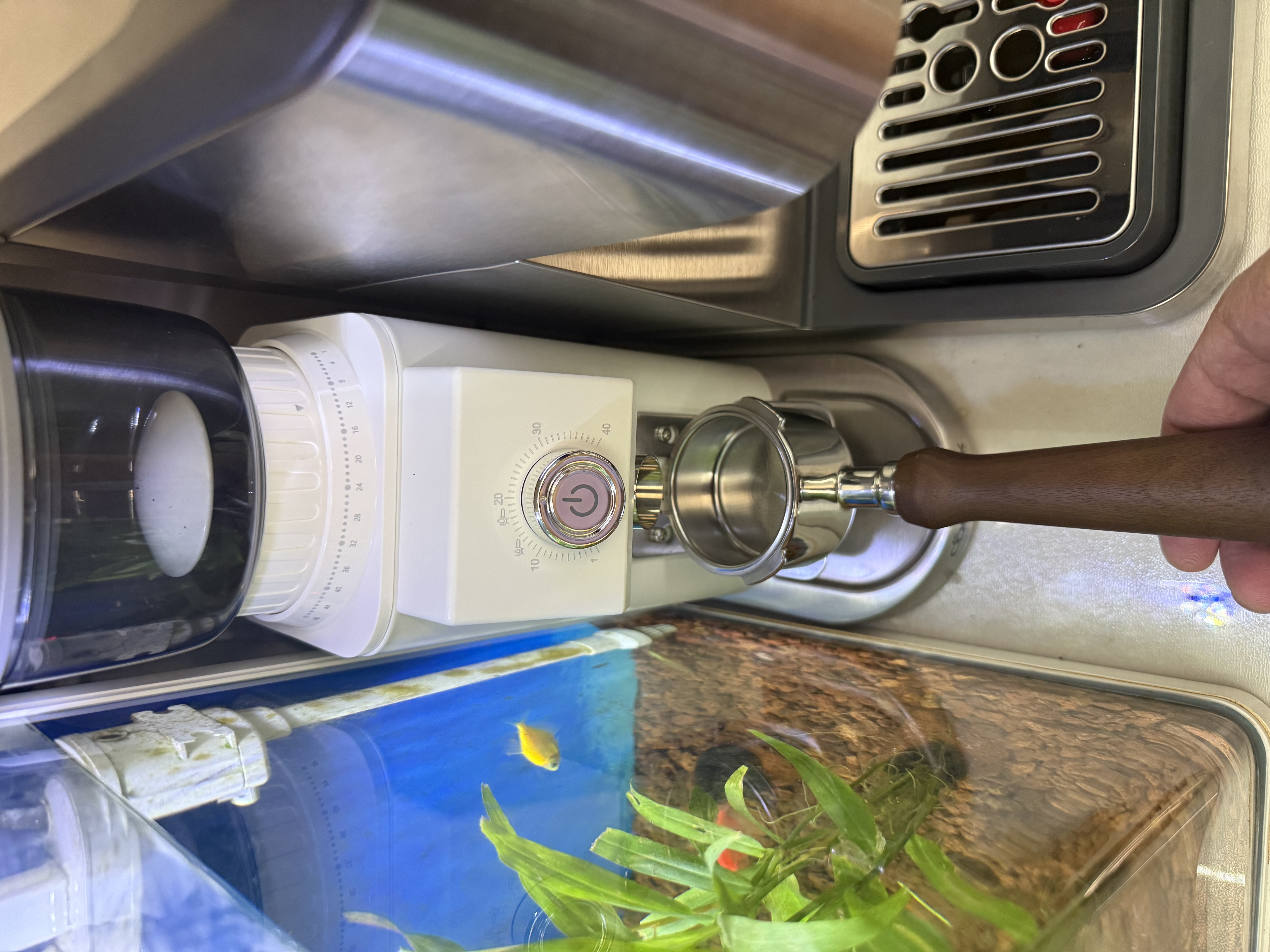 客浦CP203W咖啡磨豆机电动意式手冲家用小型全自动咖啡豆研磨机磨粉机 实拍图