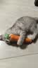 欢宠网猫玩具猫咪逗猫磨牙棒猫薄荷木天蓼自嗨解闷神器猫猫小猫幼猫宠物 实拍图
