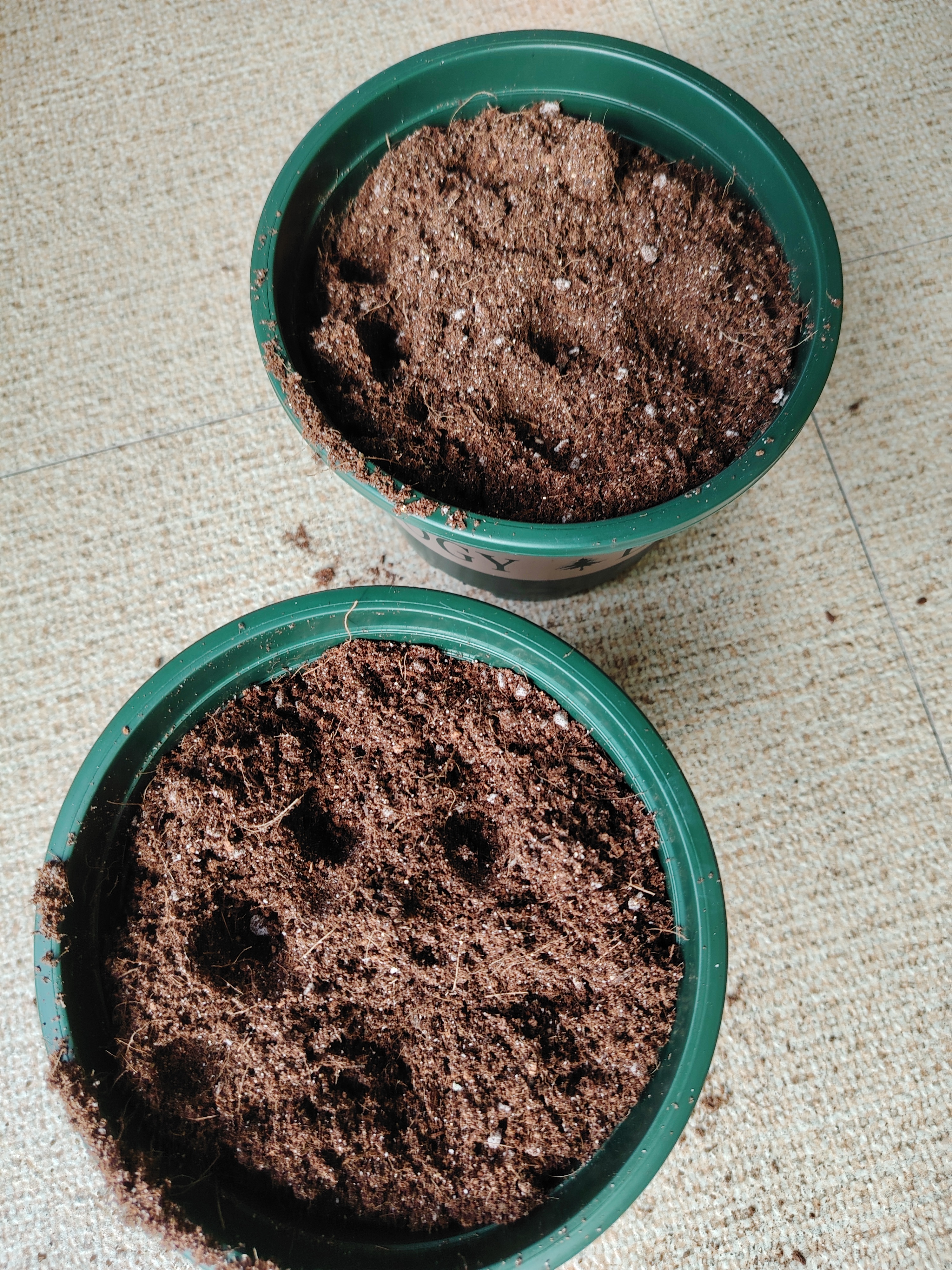漫德莱植物营养土通用15L 养花种菜种植多肉土壤泥炭兰花盆栽土 实拍图