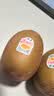 佳沛（zespri）新西兰金奇异果22粒巨大原箱146-175g猕猴桃中秋节礼品送水果礼盒 实拍图
