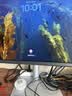 明基（BenQ）PD2730S 27英寸5K分辨率 全局域适配苹果色 双雷电4 全链路色准设计修图电脑显示器 实拍图