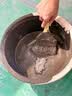 万通堵漏王快干水泥砂浆堵漏宝防水补漏速干防漏剂卫生间填缝胶泥 实拍图