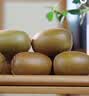佳沛（zespri）新西兰金奇异果22粒巨大原箱146-175g猕猴桃中秋节礼品送水果礼盒 实拍图