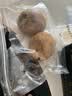 应季新土豆约500g 实拍图