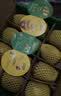 佳沛（zespri）新西兰金奇异果12粒特大果124-146g猕猴桃中秋节礼品送水果礼盒 实拍图