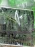 施耐德 双开单控开关 86型暗装墙壁电源二开开关插座面板  睿意系列白色 实拍图