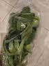上海青约500g(油菜) 实拍图