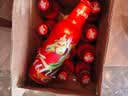 青岛啤酒（TsingTao）鸿运当头马年限定生肖款 355ml*12瓶 整箱装 中秋节送礼 实拍图
