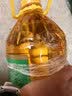 福临门食用油非转基因压榨玉米油4L中粮出品（富含植物甾醇）家庭常备 实拍图