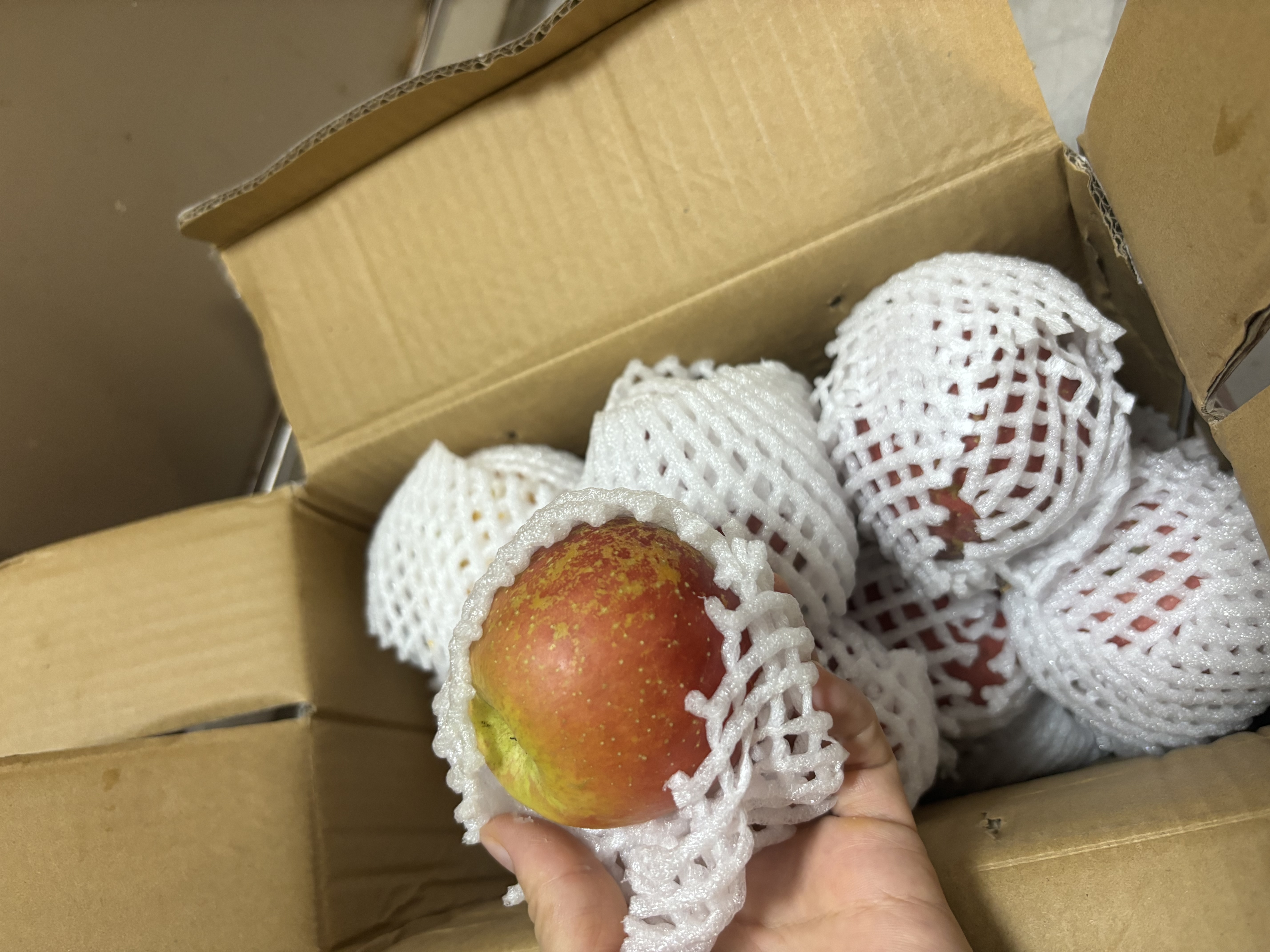 【彩箱礼盒】26年头茬云南樱桃小苹果昭通丑苹果冰糖心苹果整箱 带箱5斤净重4.5斤 实拍图
