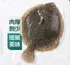 鲜活多宝鱼450-550g/条 实拍图