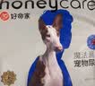 HONEYCARE好命家 好命天生宠物尿垫狗狗尿片魔法漏斗除味狗尿布M码 实拍图
