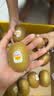 佳沛（zespri）绿奇异果经典果16粒单果约89-103g猕猴桃中秋节礼品送水果礼盒 实拍图