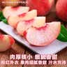 京地达桃子金秋红蜜江苏水蜜桃脆桃新鲜水果4斤单果200g+源头直发 实拍图
