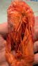 鲜京采大号九节虾干45-60只/净重500g 高蛋白即食零食海鲜干货活虾现烤 实拍图