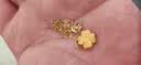中国黄金（CHINA GOLD）黄金四叶草项链女款足金幸运草吊坠锁骨情人节生日礼物送女友老婆 【京速达】四叶草吊坠【赠银镀金链】约0.8g 实拍图