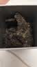 大益TAETEA茶叶普洱茶生茶 5年陈料经典普洱饼茶100g/饼 口粮茶自己喝 实拍图