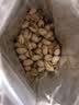 沃隆开心果500g袋装大颗粒原色无漂白坚果炒货孕妇零食休闲食品小吃 实拍图