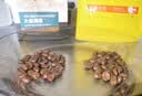 sinloy 意式特浓云南咖啡豆 炭烧拼配 油脂王 可现磨粉 500g[500g*1]【常规包装】 【深度烘焙】浓郁油脂丰富 咖啡豆（不磨粉） 实拍图