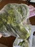 西兰花约500g 实拍图