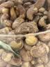 三只松鼠罐装紫皮腰果1000g越南大颗粒每日坚果炒货干果零食团购送礼 实拍图