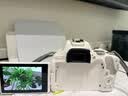 佳能（Canon）EOS 200D2 II 二代 迷你单反相机 4K Vlog视频直播 高清美颜照相机 18-55mm标准变焦 旅行畅玩套装 实拍图
