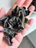 樟子松大兴安岭有机黑木耳小碗耳500g东北特产菌菇干货凉拌炒菜火锅食材 实拍图